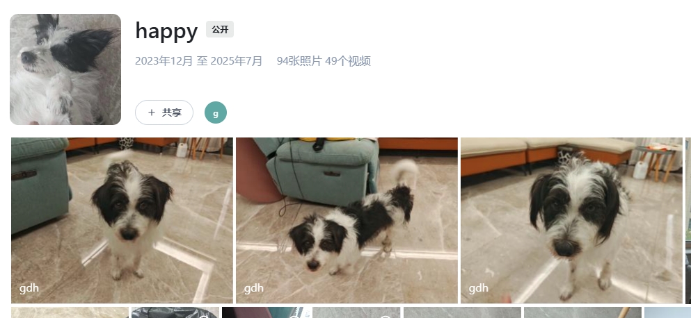 44ce3e7f66fe9a060f1ded62a74bb113.png