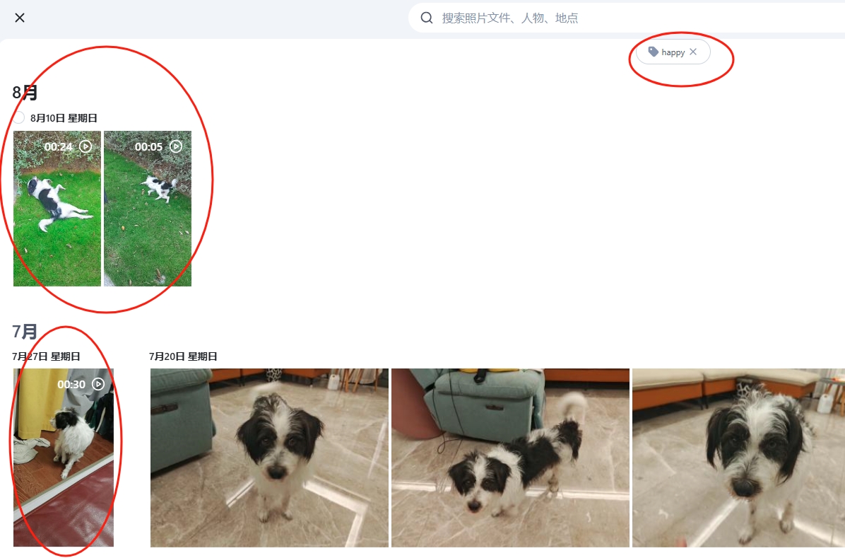 c1d69236e66cca7563e4af44500074cd.png